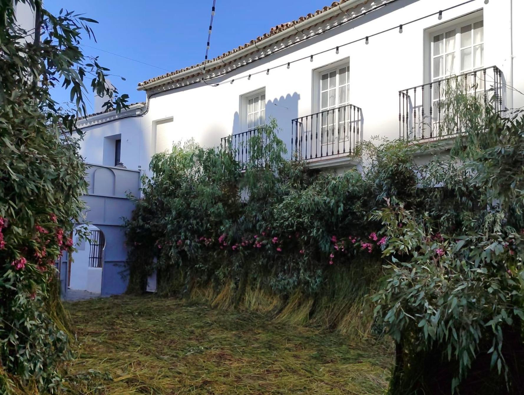 Apartamento Antonia Zahara De La Sierra Exterior photo